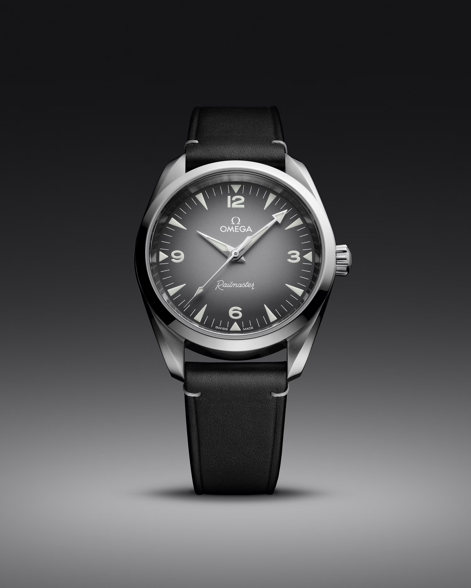 Seamaster Railmaster — Grey Dial, Leather