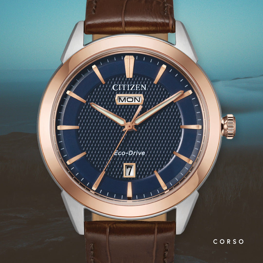 Rolan — Navy Dial