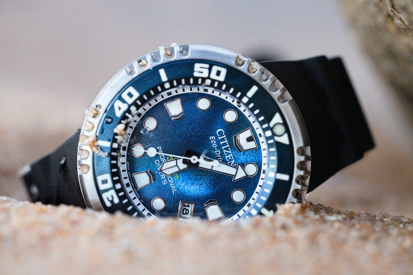 Dive — Blue Dial
