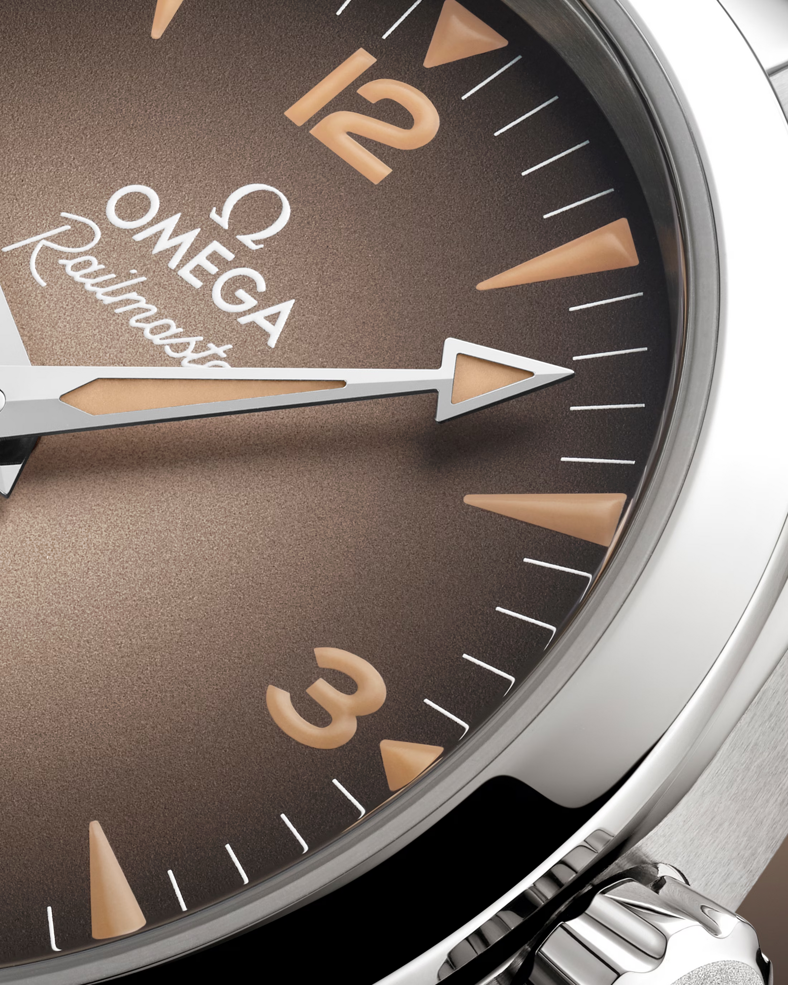 Seamaster Railmaster — Brown Dial, Steel