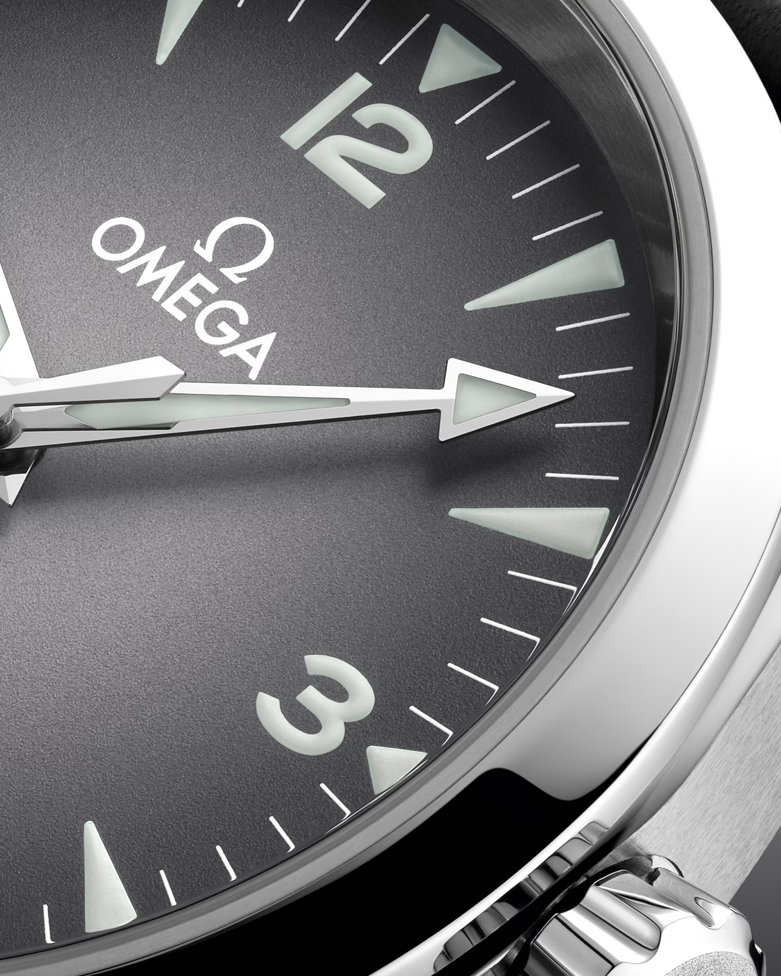 Seamaster Railmaster — Grey Dial, Leather