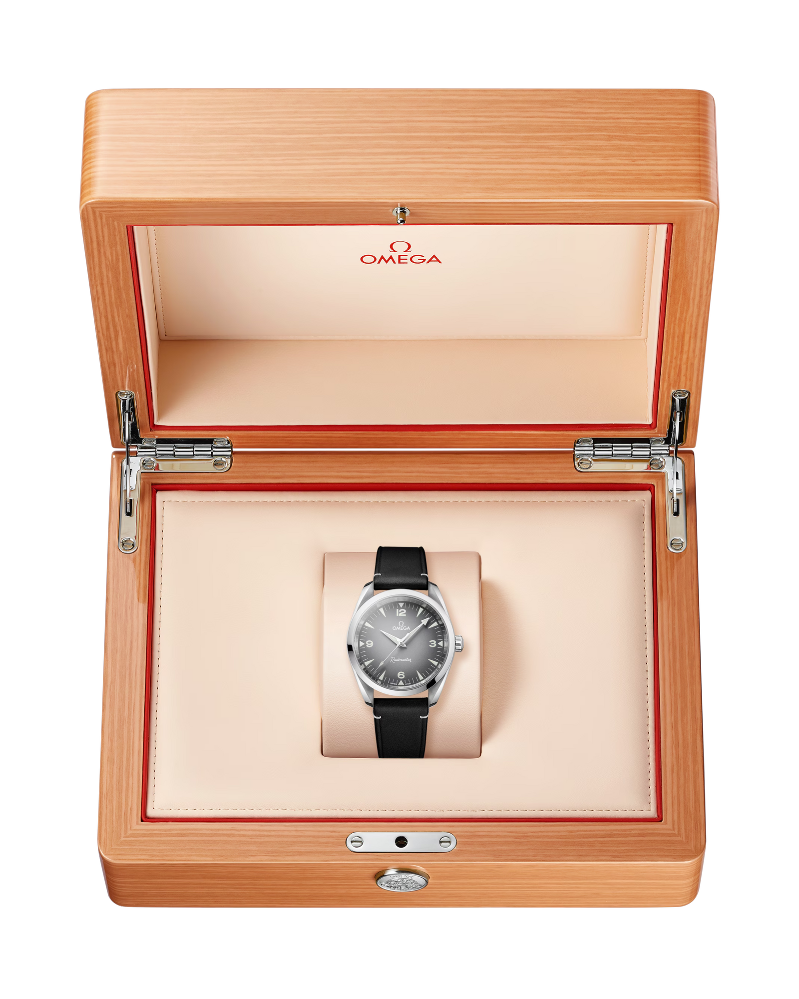 Seamaster Railmaster — Grey Dial, Leather