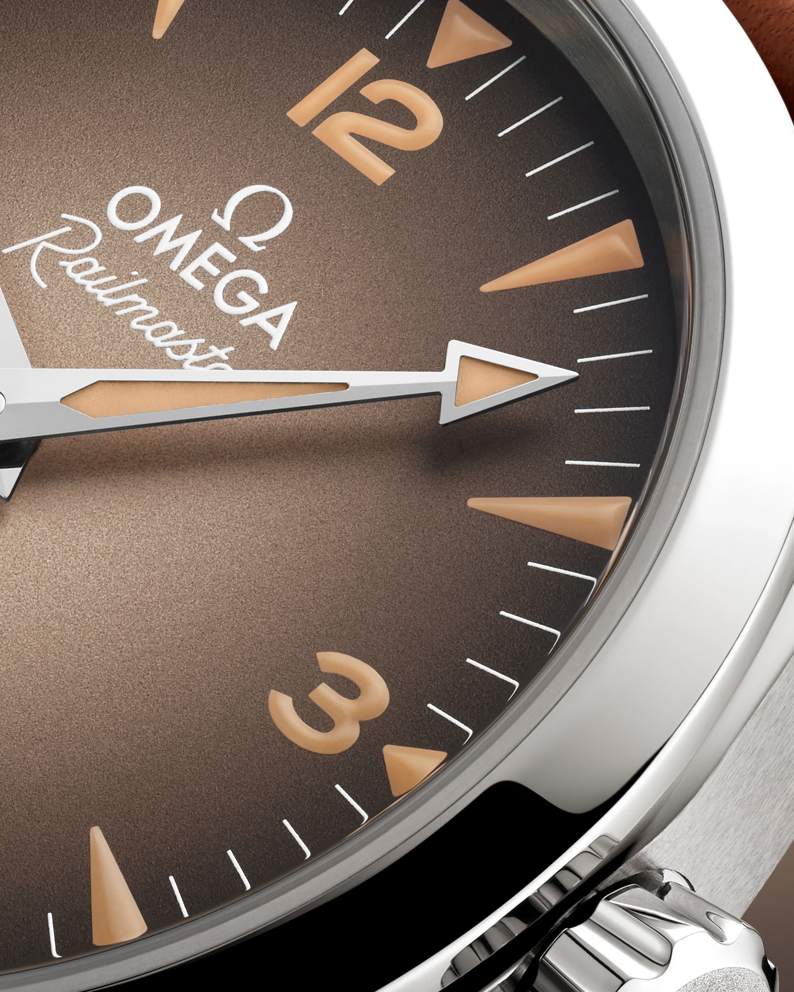 Seamaster Railmaster — Brown Dial, Leather