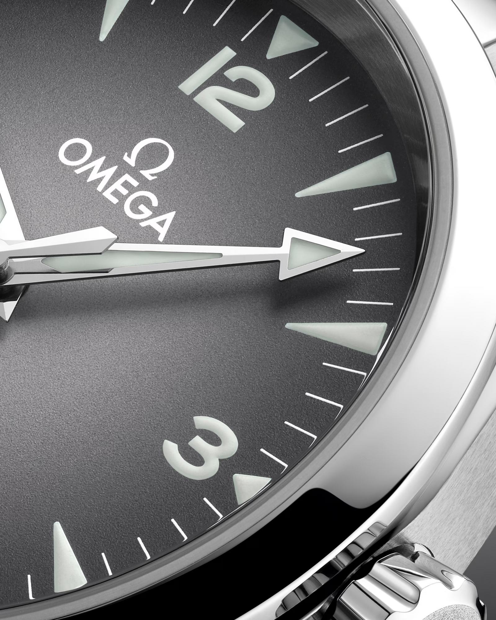 Seamaster Railmaster — Grey Dial, Steel